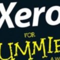 writing xero for dummies